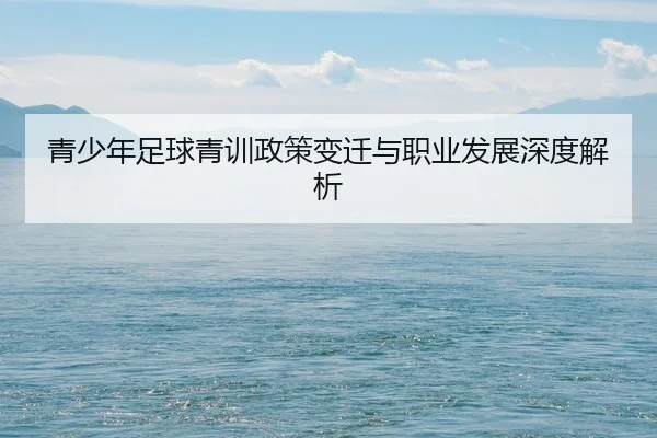 青少年足球青训政策变迁与职业发展深度解析